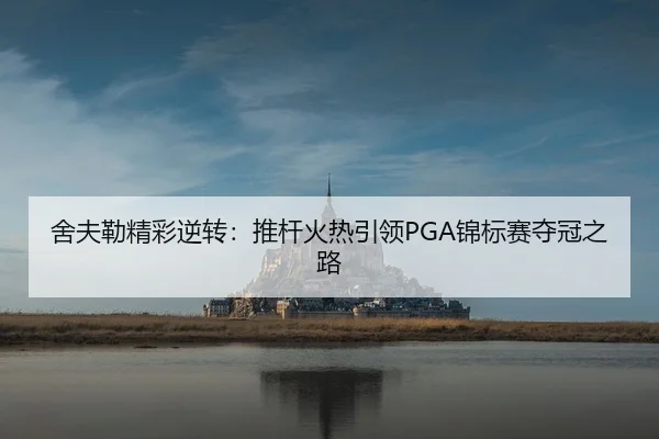 舍夫勒精彩逆转：推杆火热引领PGA锦标赛夺冠之路